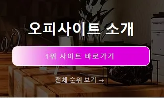 오피사이트 1